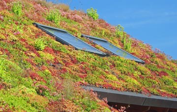 Greater Manchester living roof systems